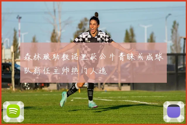 森林狼助教诺里获公牛青睐或成球队新任主帅热门人选
