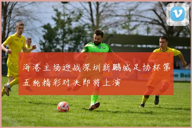 海港主场迎战深圳新鹏城足协杯第五轮精彩对决即将上演