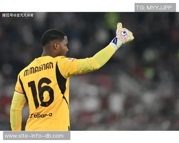 泰尔齐奇谈意甲兴趣加图索有能力打造强大意大利队